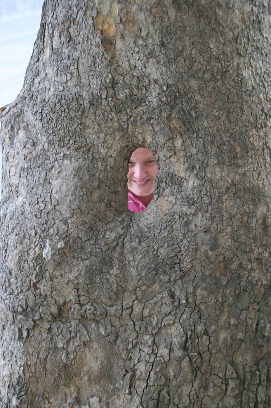 Istanbul Ooglaseren 2010 - 201